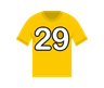 Số 29