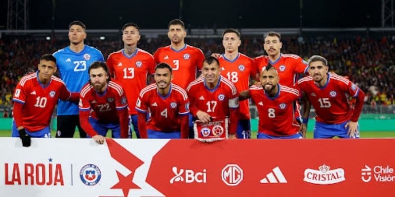 Biệt danh đội tuyển Tây Ban Nha: La Roja và Những chú bò tót