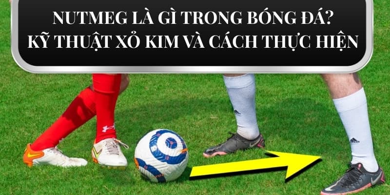 Nutmeg là gì trong bóng đá? Cách thực hiện kỹ thuật xâu kim khét lẹt