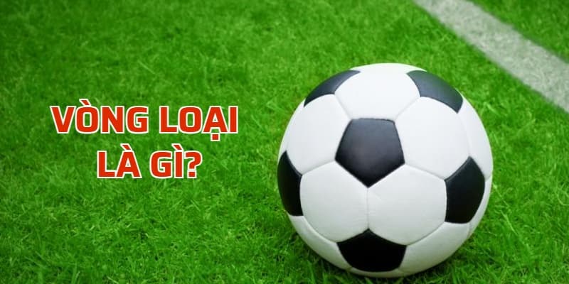Vòng loại là gì? Luật thi đấu Qualifying round chuẩn FIFA